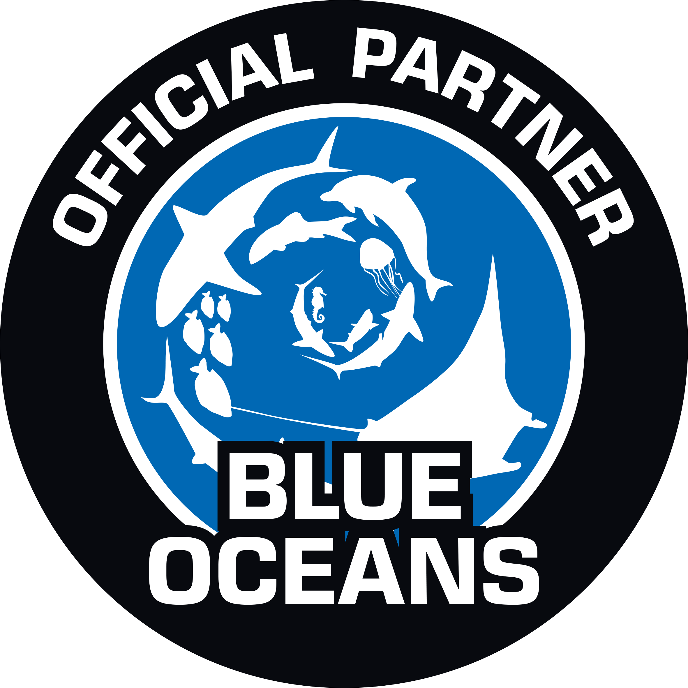 Blue Oceans Center